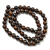 Natural Yellow Tiger Iron Beads Strands G-C079-A03-01-3