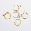 304 Stainless Steel Leverback Earring Findings STAS-F155-13G-1