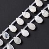 Natural Rainbow Moonstone Beads Strands G-G805-B16-4