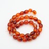 Oval Natural Carnelian Beads Strands G-D622-06-A-2