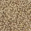 Plated 3/0 Glass Seed Beads SEED-Q025-2mm-D03-3