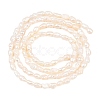 Natural Cultured Freshwater Pearl Beads Strands PEAR-D003-01D-01-3