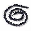 Natural Black Onyx Beads Strands G-K282-01A-2