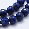 Natural Lapis Lazuli Beads Strands G-E465-8mm-01-3