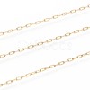 3.28 Feet Ion Plating(IP) 304 Stainless Steel Paperclip Chains X-CHS-F010-01A-G-2