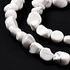 Natural Howlite Beads Strands G-G018-49-3