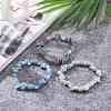 Chips Natural Mixed Stone Stretch Bracelets BJEW-JB05643-4