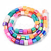 Handmade Polymer Clay Beads Strands CLAY-N008-060-05-2
