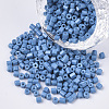 8/0 Two Cut Glass Seed Beads SEED-S033-06A-08-1