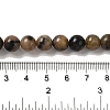 Natural Chiastolite Beads Strands G-Q161-A03-03-5