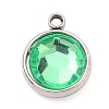 304 Stainless Steel Charms STAS-I165-04A-P-02-1