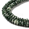 Natural Green Spot Beads Strands G-Z030-A03-01-3