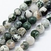 Natural Tree Agate Beads Strands X-G-I199-03-6mm-1