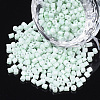 8/0 Two Cut Glass Seed Beads SEED-S033-06A-02-1