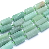 Frosted Natural Aventurine Beads Strands G-L552C-01-1