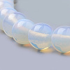 Opalite Beads Strands G-S259-48-6mm-3
