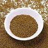MIYUKI Delica Beads X-SEED-J020-DB2110-2