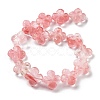 Cherry Quartz Glass Beads Strands G-P520-A05-01-3