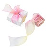 Polyester Organza Ribbon SRIB-FZC0001-001E-1
