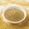 MIYUKI Round Rocailles Beads X-SEED-G009-RR0003-3