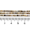 Natural Alashan Agate Beads Strands G-C181-B05-01-5