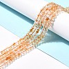 Natural Citrine Bead Strands G-P466-01E-2