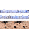 Natural Freshwater Shell Dyed Beads Strands SHEL-T020-29B-5