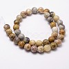 Natural Crazy Lace Agate Beads Strands X-G-D840-70-8mm-2