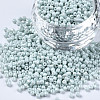 12/0 Glass Seed Beads SEED-S060-A-F408-1