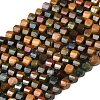 Natural Ocean Jasper Beads Strands G-P611-C05-01-2
