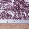 MIYUKI Delica Beads Small SEED-JP0008-DBS0108-4