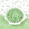 FGB Frosted Transparent Glass Seed Beads SEED-N013-05A-08-2