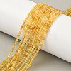 Natural Yellow Opal Beads Strands G-D306-A05-2mm-1
