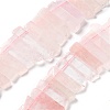 Natural Rose Quartz Beads Strands G-L551B-17-1