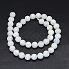 Natural Rainbow Moonstone Beads Strands G-F602-03-10mm-2