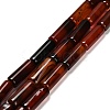 Dyed Natural Agate Beads Strands G-G203-01B-2