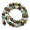 Natural Serpentine Beads Strands G-R494-A03-04-2