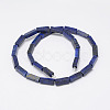 Natural Lapis Lazuli Beads Strands G-F402-11-2