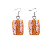 Resin Food Model Dangle Earrings PW-WGD1124-12-1