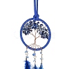Iron Woven Web/Net with Feather Pendant Decorations LS-AJEW-P097-09-2