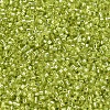 MIYUKI Delica Beads Small SEED-X0054-DBS0147-3
