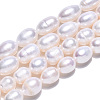 Natural Cultured Freshwater Pearl Beads Strands PEAR-N012-08O-2
