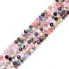 Natural Mixed Stone Faceted Beads Strands G-K311-46C-1