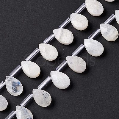 Natural Rainbow Moonstone Beads Strands G-G805-B16-1