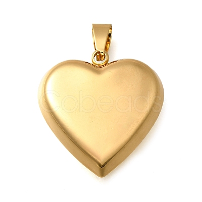 304 Stainless Steel Pendants STAS-H200-01G-07-1