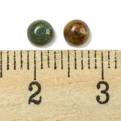 Natural Indian Agate Cabochons G-H309-03-54-1