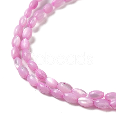 Natural Trochus Shell Beads Strands X-SHEL-K006-19A-1