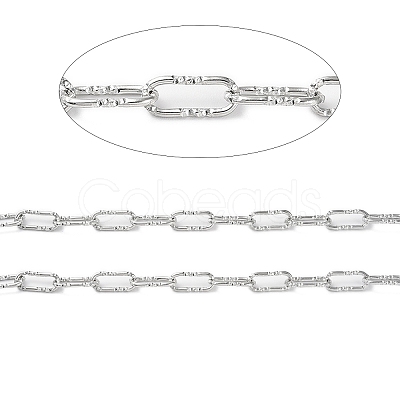 Tarnish Resistant 304 Stainless Steel Textured Paperclip Chains CHS-G027-04P-1