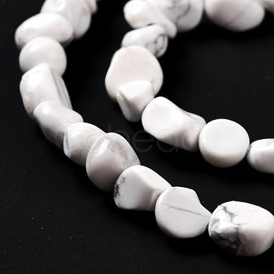 Natural Howlite Beads Strands G-G018-49-1