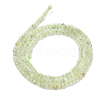 Natural Prehnite Beads Strands G-RM2025-34-2.5mm-1